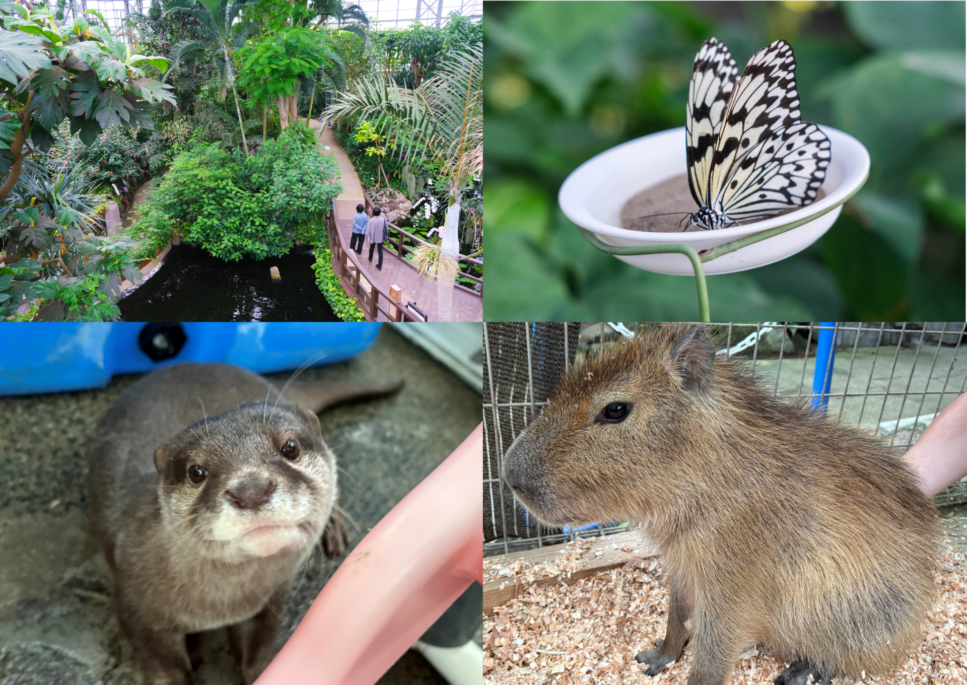 熱帯生態園 - 北九州市立響灘緑地/グリーンパーク【公式サイト】