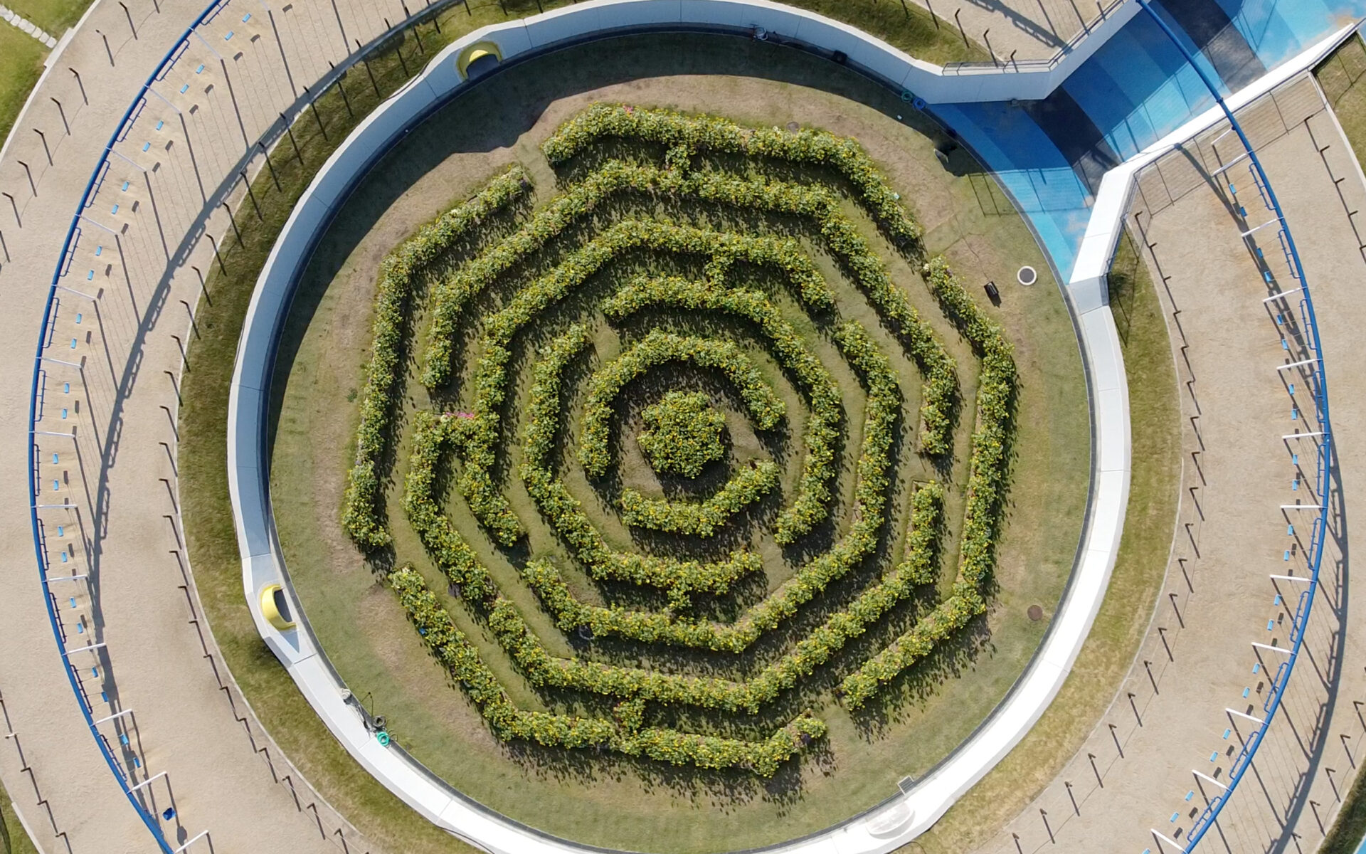 迷路花壇 開園30周年 北九州市立響灘緑地 グリーンパーク 公式サイト