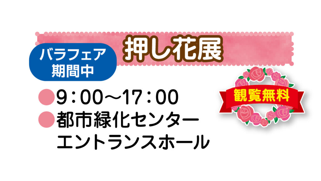 11 12 バラの開花状況 開園30周年 北九州市立響灘緑地 グリーンパーク 公式サイト