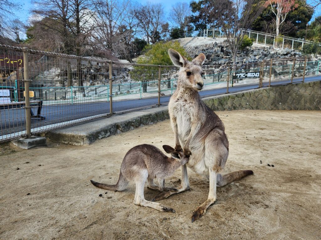 画像に alt 属性が指定されていません。ファイル名: 1000011064-1024x768.jpg