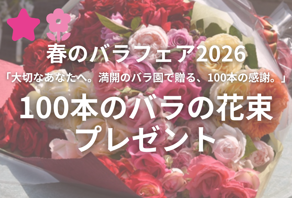 春のバラフェア2026】100本のバラの花束プレゼント贈呈式 - 北九州市立