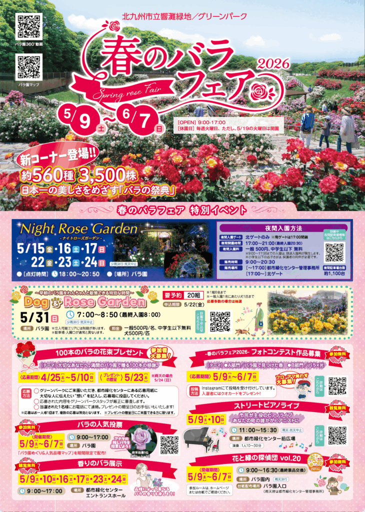 春のバラフェア2026 本日最終日】6/7(日)バラの開花状況＜見頃過ぎ
